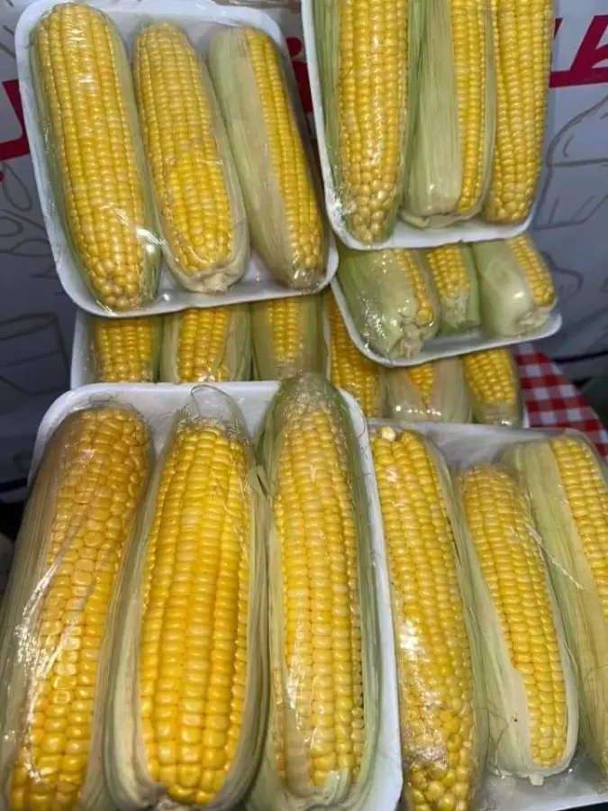 30. سويت كورن 3 كواز