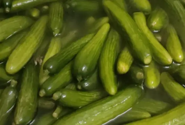 9. خيار مخلل